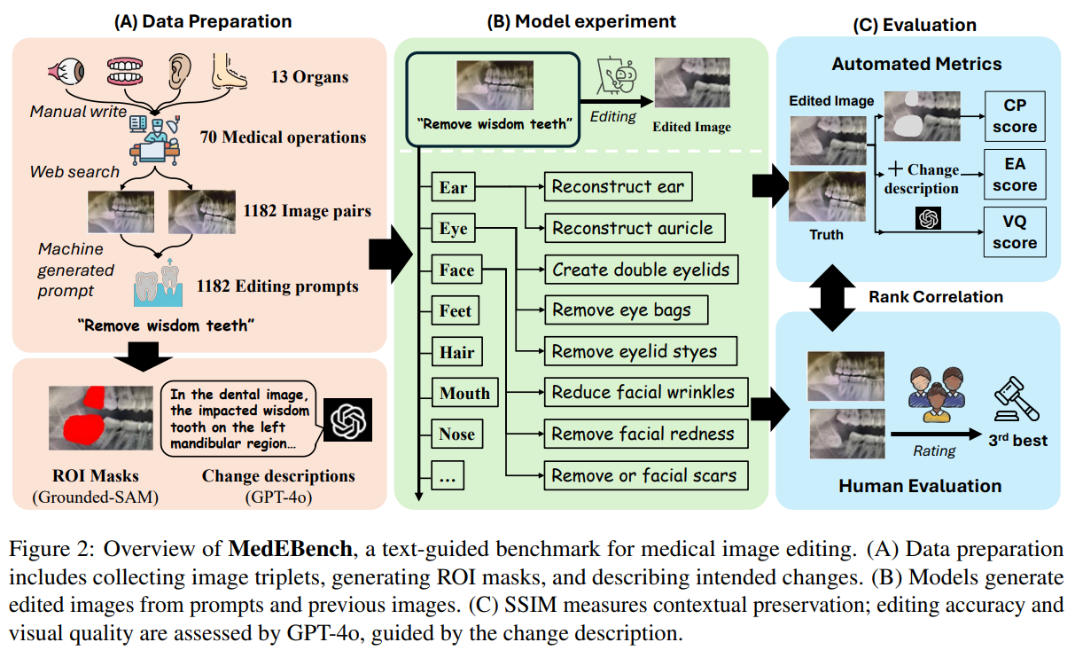 MedEBench Overview